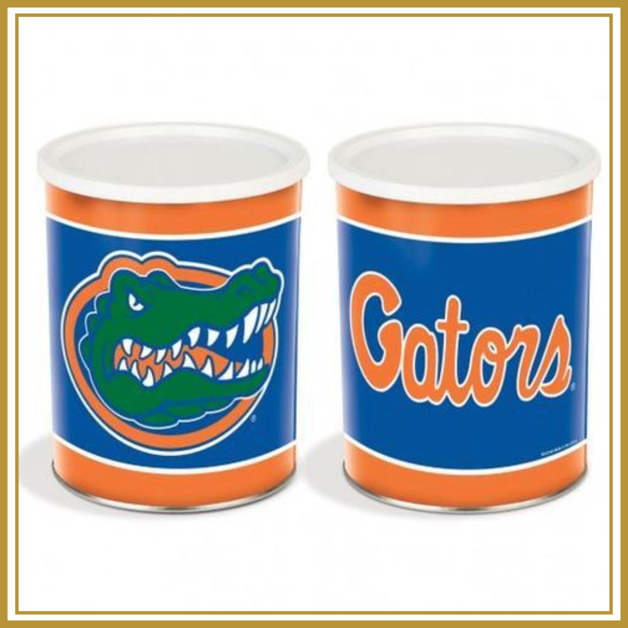GATORS_BORDER_2000X2000_4312db89-e975-4d79-a1c5-992efea6ce6d.jpg